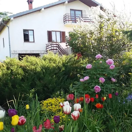 Kuca Sonja * Vranje