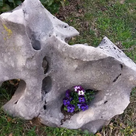 Kuca Sonja Tatil Evi *